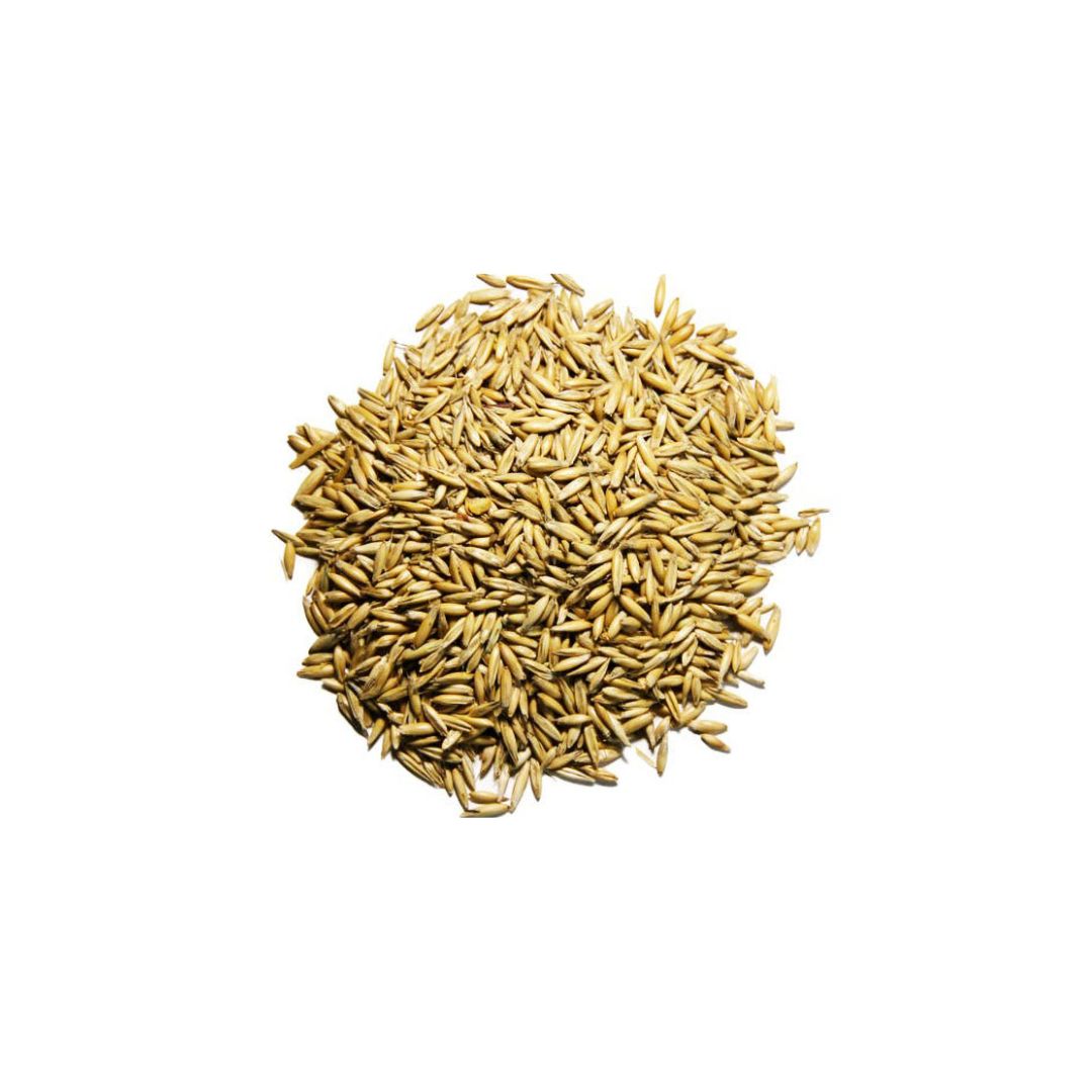 Oats - Image 2