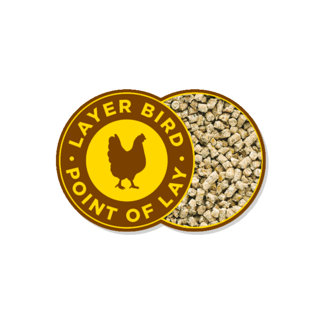 Barastoc Champion Layer - Image 2