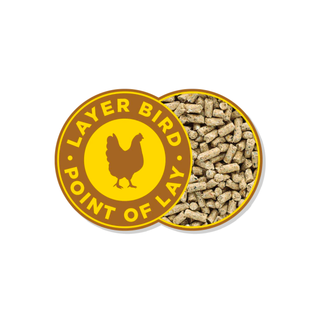 Barastoc Golden Yolk - Image 2