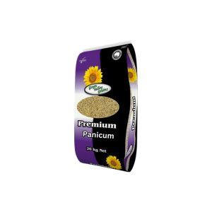 Green Valley Grains Panicum