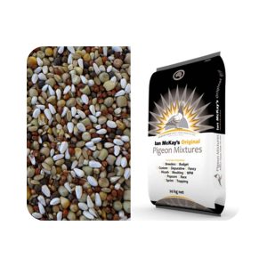 Ian McKay Pigeon Breeder Maize