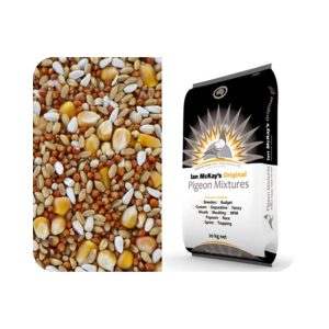 Ian Mckay Pigeon NPN