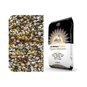 Ian McKay Pigeon Race Mix