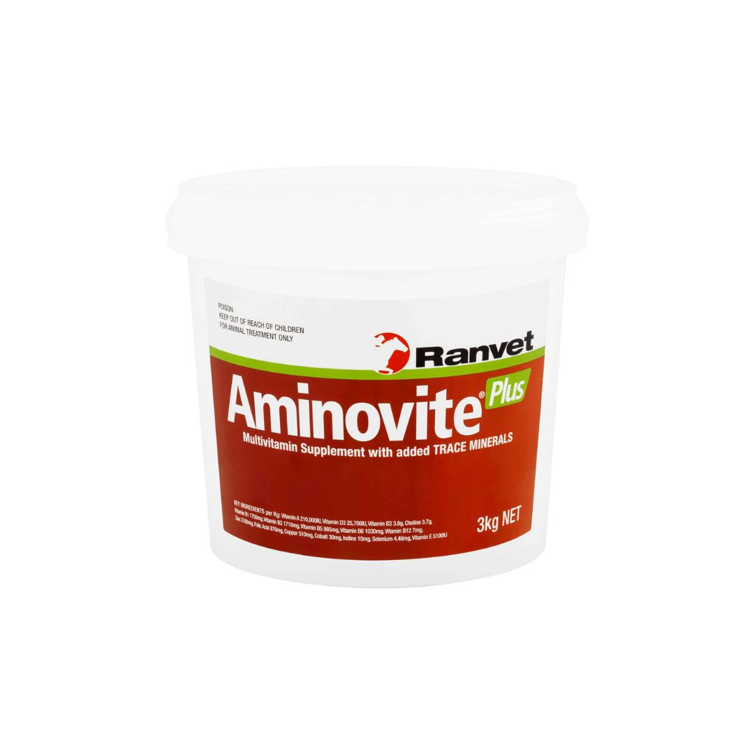 Ranvet Aminovite Plus